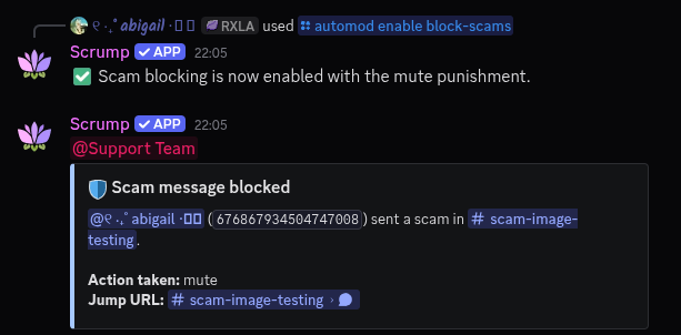 Scrump MrBeast scam image protection moderation interface